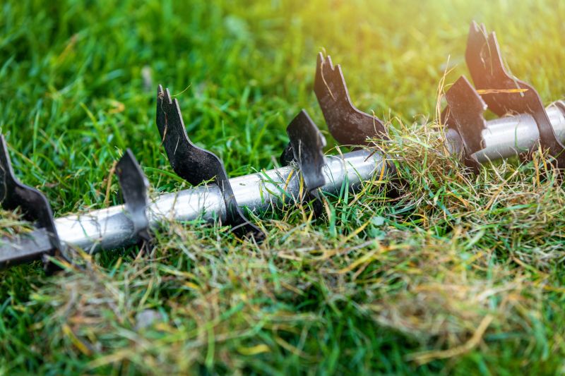 Aeration Service detail