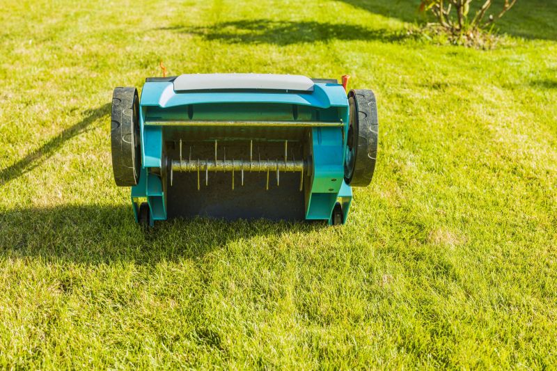 Lawn Aeration Service