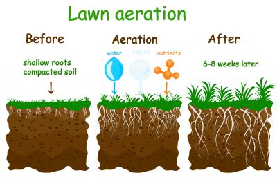 Lawn Core Aeration