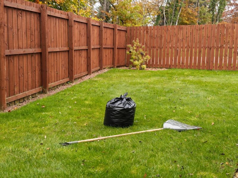 Lawn Power Raking