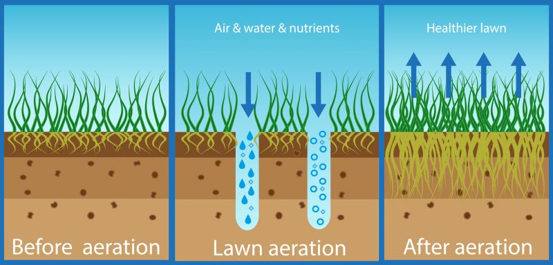 Residential Lawn Aeration