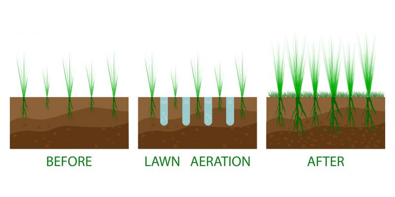 Spring Aeration