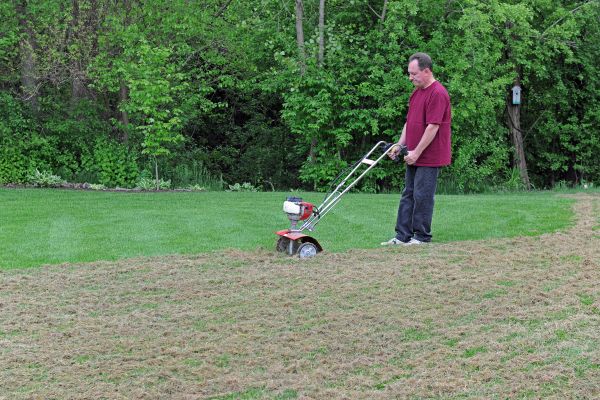 Lawn Dethatching in Annapolis
