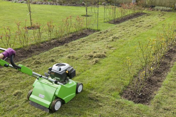 Thatch Control