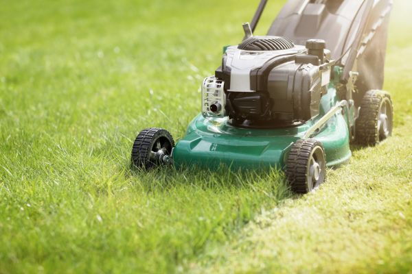 Lawn Grooming