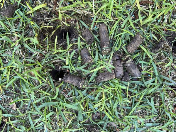 Yard Aeration Service