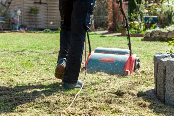 Lawn Power Raking in Annapolis
