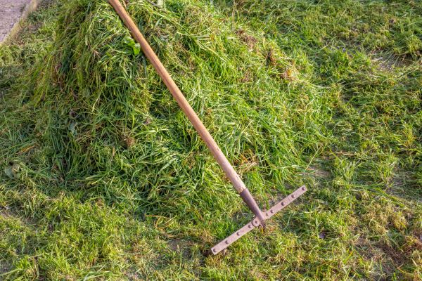 Thatch Management