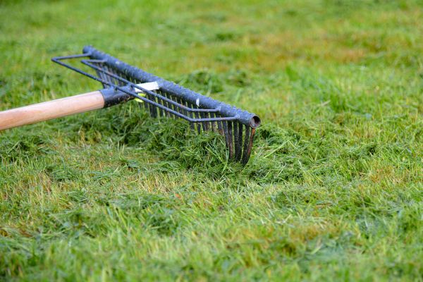 Yard Dethatching Service in Annapolis
