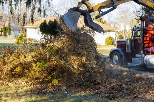 Ground Debris Removal