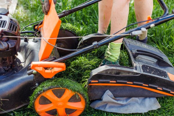 Grass Power Raking in Annapolis
